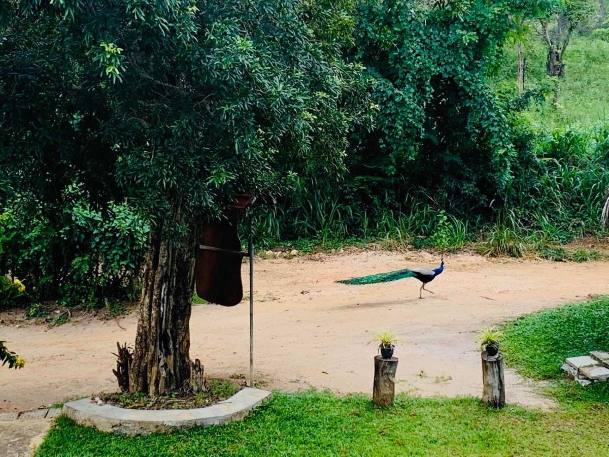 Sigiriya Rock Hide Hotel Exterior foto